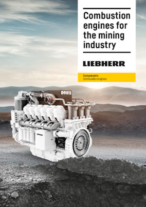 Motoren Liebherr D9816