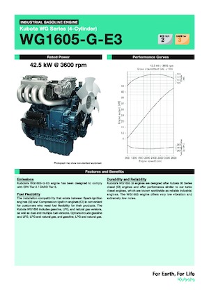 Motoren Kubota WG1605-G-E3