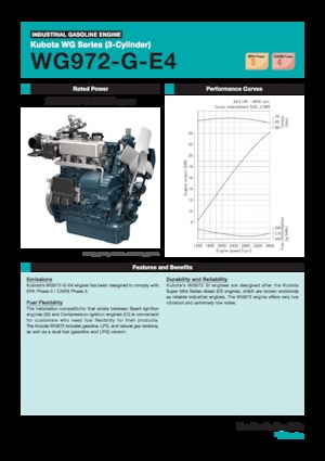 Motoren Kubota WG972-G-E4