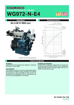 Motoren Kubota WG972-N-E4