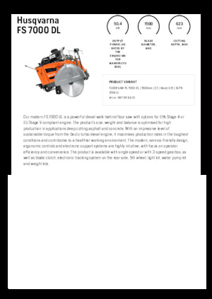 Fugenschneider Husqvarna FS 7000 DL