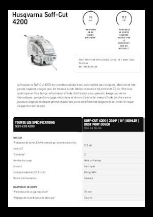 Fugenschneider Husqvarna Soff-Cut® 4200