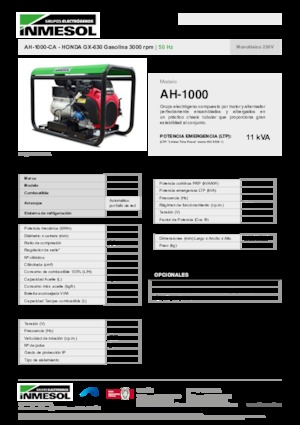 Stromerzeuger, Benzin INMESOL AH-1000-CA