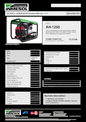Stromerzeuger, Benzin INMESOL AH 1250-E