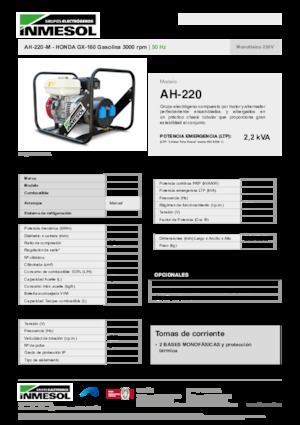 Stromerzeuger, Benzin INMESOL AH-220-M