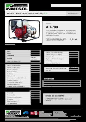Stromerzeuger, Benzin INMESOL AH-700-E