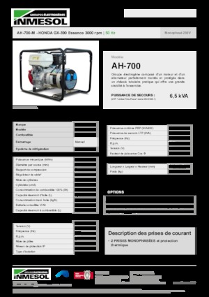 Stromerzeuger, Benzin INMESOL AH-700-M