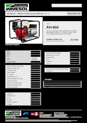 Stromerzeuger, Benzin INMESOL AH-850-CA