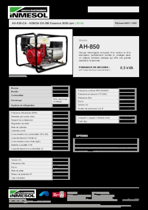 Stromerzeuger, Benzin INMESOL AH-850-CA