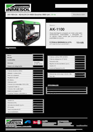 Stromerzeuger, Benzin INMESOL AK-1100-CA