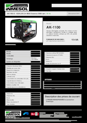 Stromerzeuger, Benzin INMESOL AK-1100-E