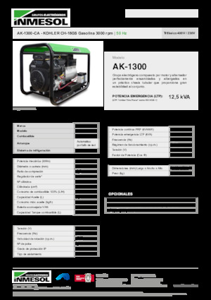 Stromerzeuger, Benzin INMESOL AK-1300-CA