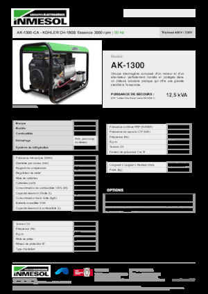 Stromerzeuger, Benzin INMESOL AK-1300-CA