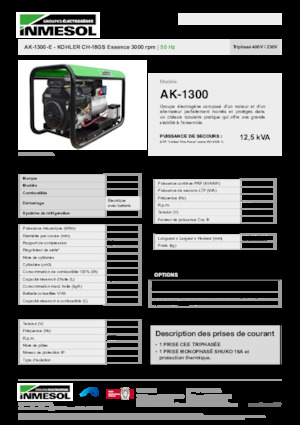 Stromerzeuger, Benzin INMESOL AK-1300-E
