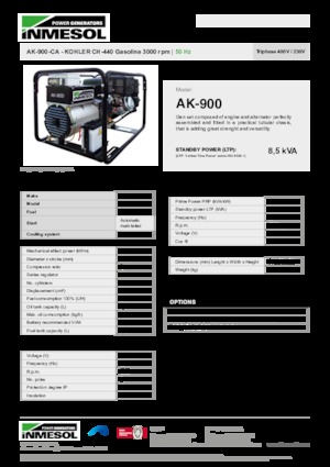 Stromerzeuger, Benzin INMESOL AK-900-CA