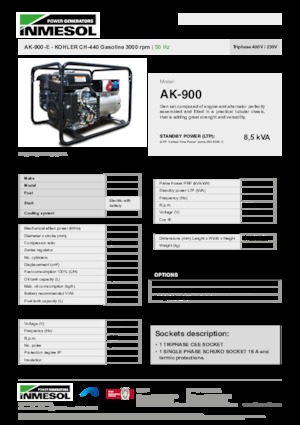 Stromerzeuger, Benzin INMESOL AK-900-E