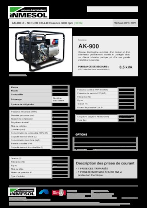 Stromerzeuger, Benzin INMESOL AK-900-E