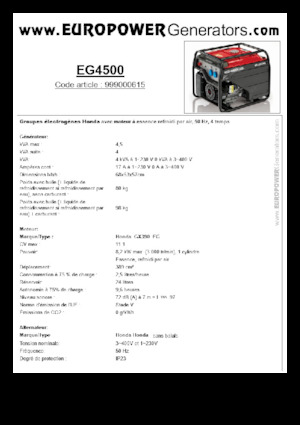 Stromerzeuger, Benzin Europower EG4500