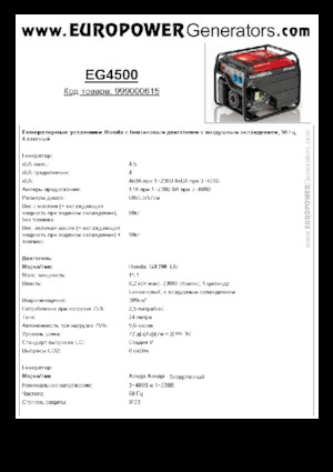 Stromerzeuger, Benzin Europower EG4500