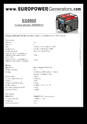 Stromerzeuger, Benzin Europower EG5500