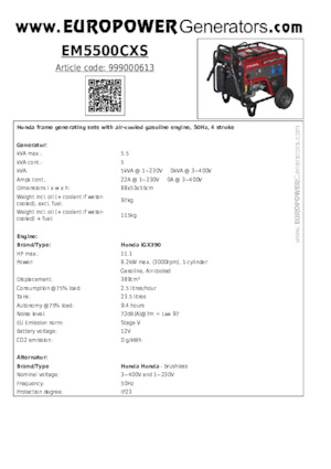 Stromerzeuger, Benzin Europower EM5500CXS