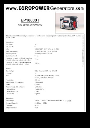 Stromerzeuger, Benzin Europower EP10000T (S)