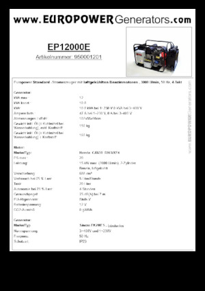 Stromerzeuger, Benzin Europower EP12000E (S)