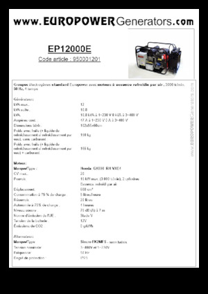 Stromerzeuger, Benzin Europower EP12000E (S)