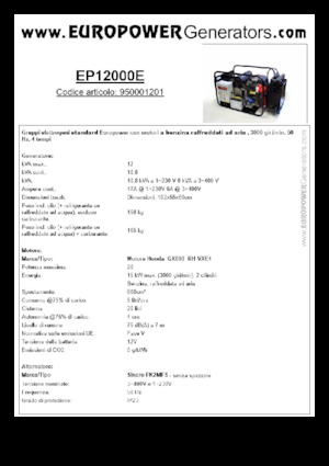 Stromerzeuger, Benzin Europower EP12000E (S)