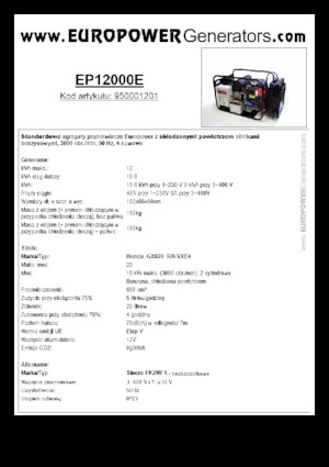 Stromerzeuger, Benzin Europower EP12000E (S)