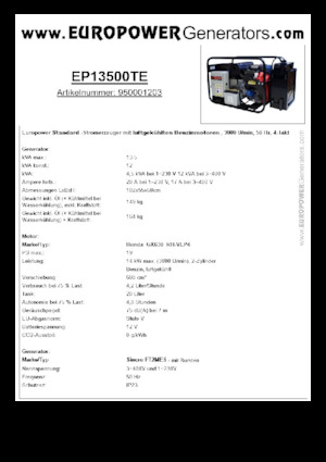 Stromerzeuger, Benzin Europower EP13500TE (S)