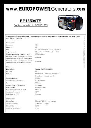 Stromerzeuger, Benzin Europower EP13500TE (S)