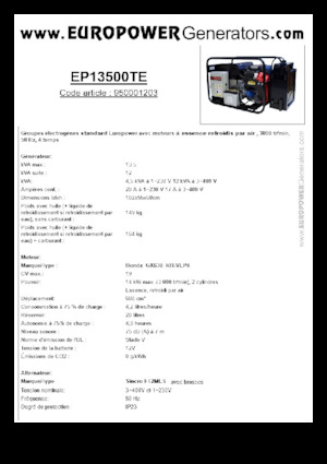 Stromerzeuger, Benzin Europower EP13500TE (S)