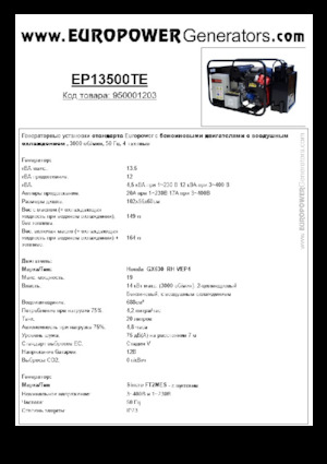 Stromerzeuger, Benzin Europower EP13500TE (S)