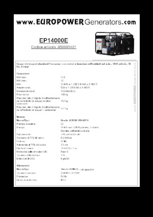Stromerzeuger, Benzin Europower EP14000E (S)