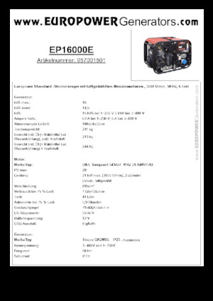Stromerzeuger, Benzin Europower EP16000E (S)