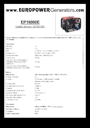 Stromerzeuger, Benzin Europower EP16000E (S)