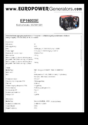 Stromerzeuger, Benzin Europower EP16000E (S)