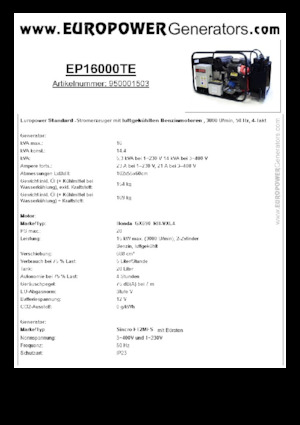 Stromerzeuger, Benzin Europower EP16000TE (S)