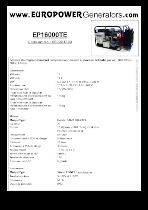 Stromerzeuger, Benzin Europower EP16000TE (S)