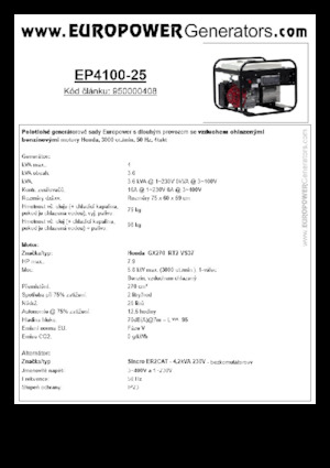 Stromerzeuger, Benzin Europower EP4100-25 (S)