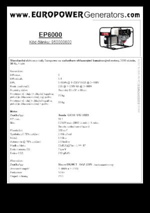 Stromerzeuger, Benzin Europower EP6000 (S)