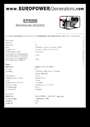 Stromerzeuger, Benzin Europower EP6000 (S)