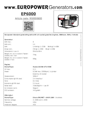 Stromerzeuger, Benzin Europower EP6000 (S)