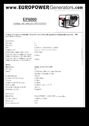 Stromerzeuger, Benzin Europower EP6000 (S)