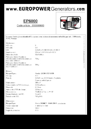 Stromerzeuger, Benzin Europower EP6000 (S)