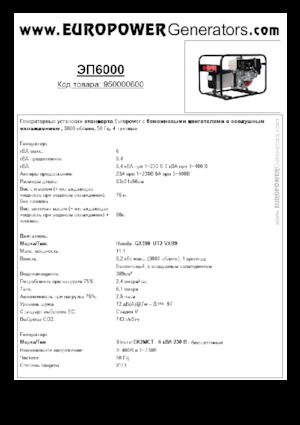 Stromerzeuger, Benzin Europower EP6000 (S)
