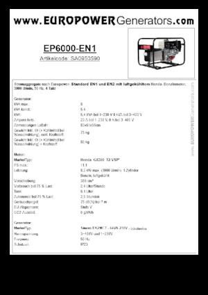 Stromerzeuger, Benzin Europower EP6000 EN1 (S)