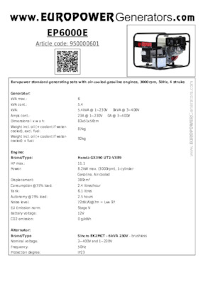 Stromerzeuger, Benzin Europower EP6000E (S)