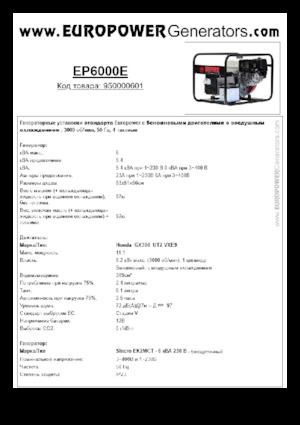Stromerzeuger, Benzin Europower EP6000E (S)